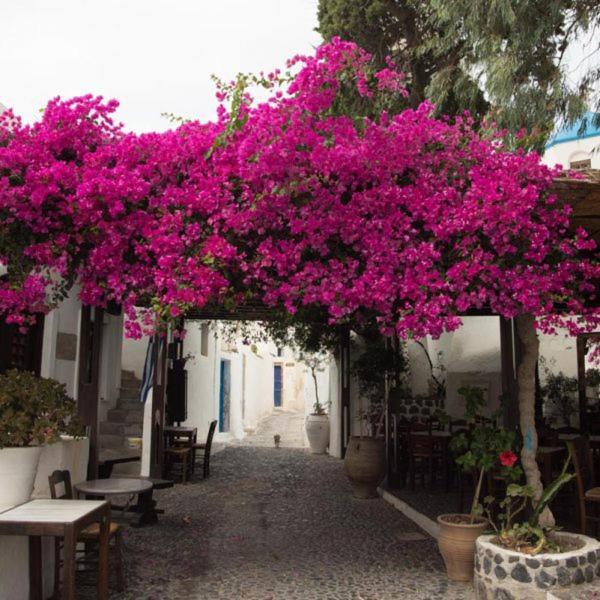 Villa Orpheus Santorini 메갈로호리 외부 사진